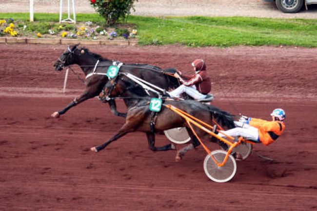 Arrivée quinté pmu PRIX DE TOULOUSE à LYON LA SOIE