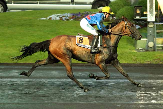 Arrivée quinté pmu PRIX RENE PALYART à PARIS-VINCENNES