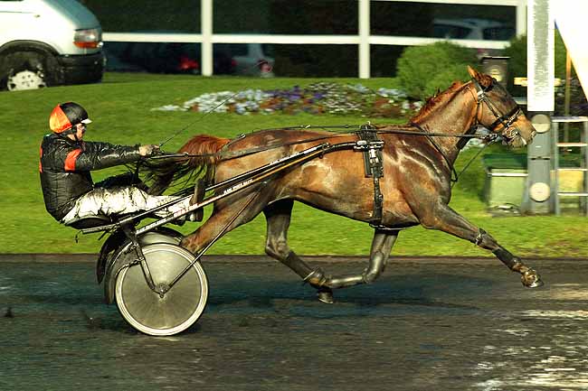 Arrivée quinté pmu PRIX SIRONE à PARIS-VINCENNES