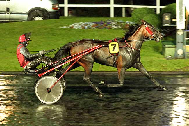 Arrivée quinté pmu PRIX ARACHNE à PARIS-VINCENNES