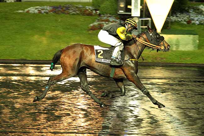 Arrivée quinté pmu PRIX HENRI CHRETIEN à PARIS-VINCENNES
