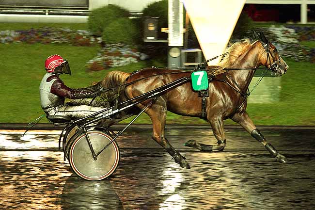 Arrivée quinté pmu PRIX ALMAK à PARIS-VINCENNES