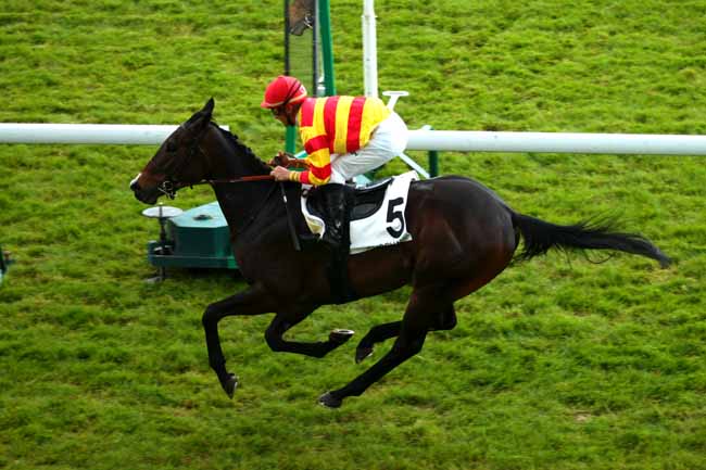Arrivée quinté pmu PRIX DE MOGADOR à LONGCHAMP
