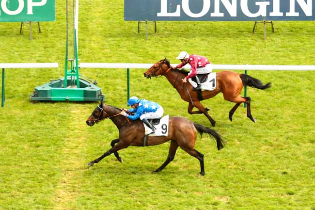 Arrivée quinté pmu PRIX ERNEST LEROY à LONGCHAMP