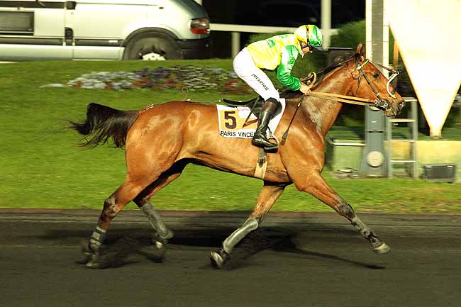 Arrivée quinté pmu PRIX FABRICIUS à PARIS-VINCENNES