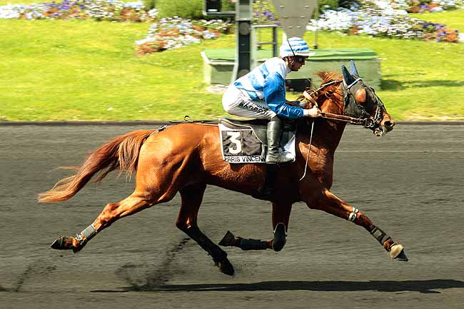 Arrivée quinté pmu PRIX D'ARPAJON à PARIS-VINCENNES