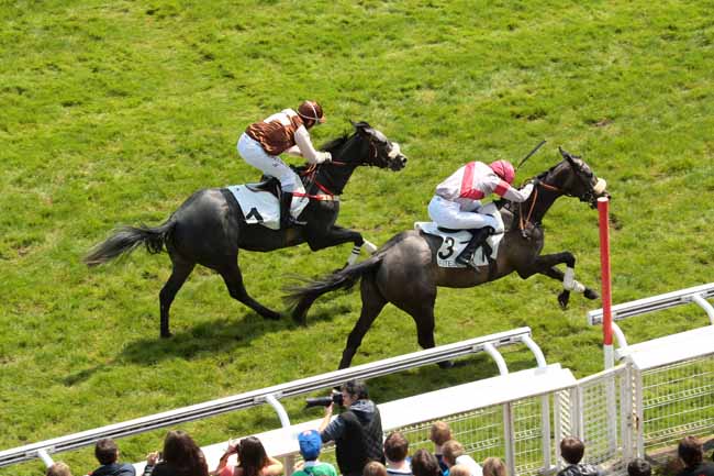 Arrivée quinté pmu PRIX GIROFLA à AUTEUIL