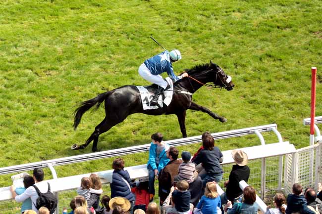 Arrivée quinté pmu GRANDE COURSE DE HAIES DE PRINTEMPS à AUTEUIL