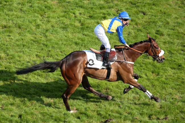 Arrivée quinté pmu PRIX EX VOTO à AUTEUIL