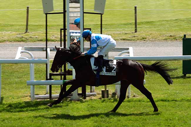 Arrivée quinté pmu PRIX NORTHERN TASTE à MAISONS-LAFFITTE