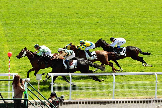 Arrivée quinté pmu PRIX DE NEWMARKET à MAISONS-LAFFITTE