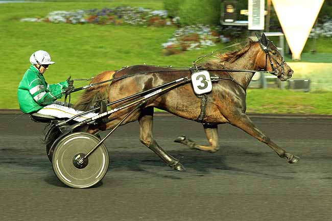 Arrivée quinté pmu PRIX FAMA à PARIS-VINCENNES
