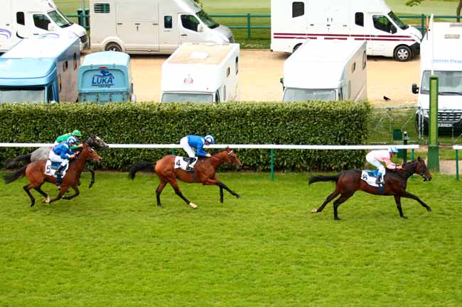 Arrivée quinté pmu PRIX DES BRULIS à CHANTILLY