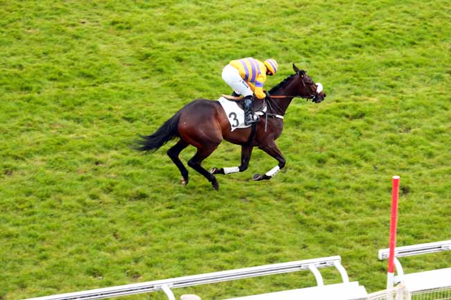 Arrivée quinté pmu PRIX DE POUILLY à AUTEUIL
