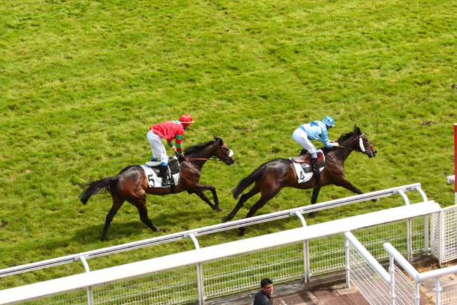 Arrivée quinté pmu PRIX PANSA à AUTEUIL