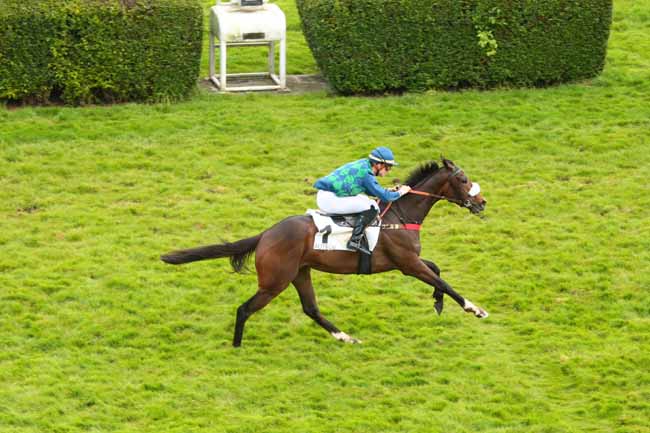 Arrivée quinté pmu PRIX REGALIA à AUTEUIL