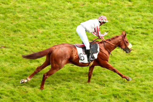 Arrivée quinté pmu PRIX FAUCHE LE PRE à AUTEUIL