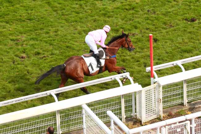 Arrivée quinté pmu PRIX PRETENTAINE à AUTEUIL