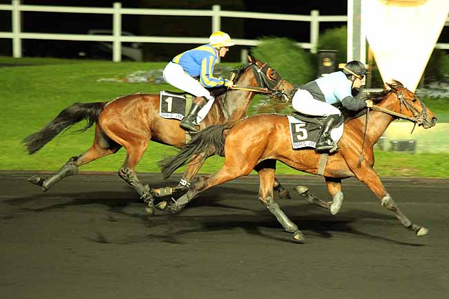 Arrivée quinté pmu PRIX NUWA à PARIS-VINCENNES