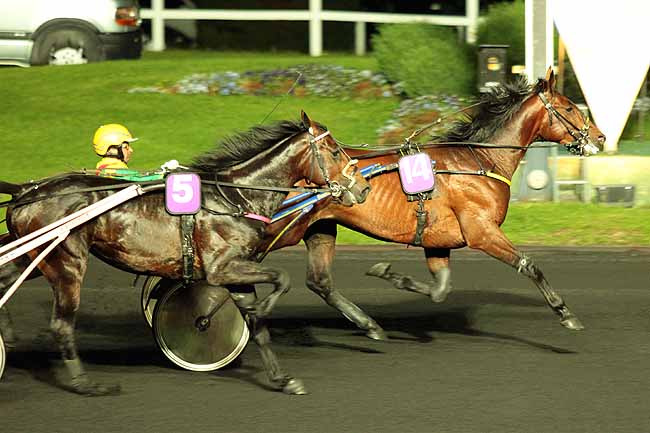 Arrivée quinté pmu PRIX EGERIA à PARIS-VINCENNES