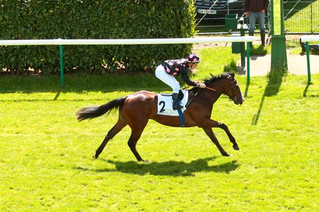 Arrivée quinté pmu PRIX DE LA CROIX DES VENEURS à CHANTILLY