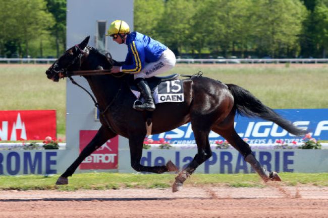 Arrivée quinté pmu PRIX SAINT-LEGER DES TROTTEURS à CAEN