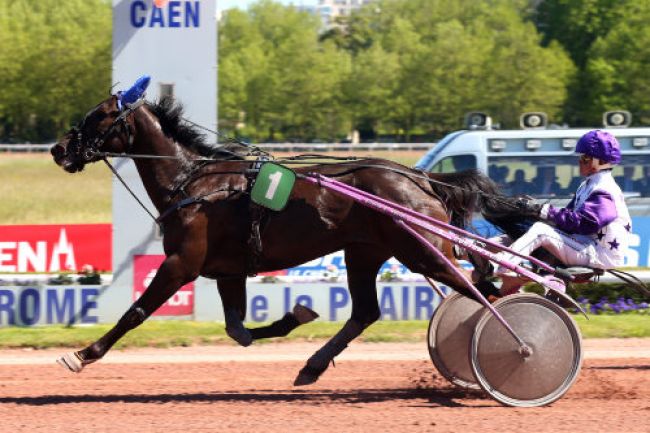 Arrivée quinté pmu PRIX DE ROMIGNY à CAEN