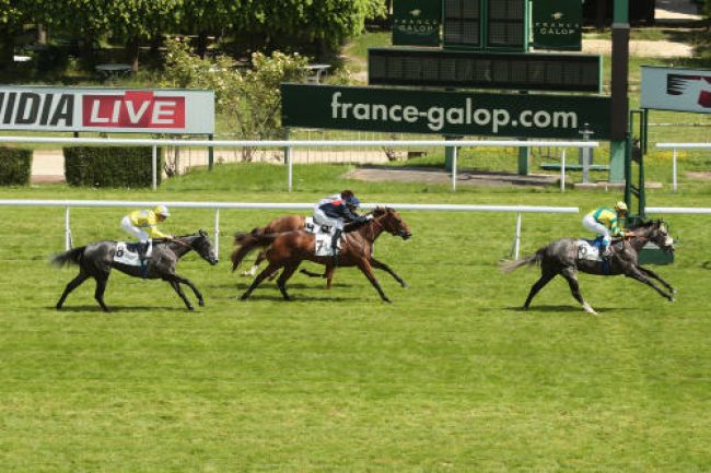 Arrivée quinté pmu PRIX SICA BOY à SAINT-CLOUD
