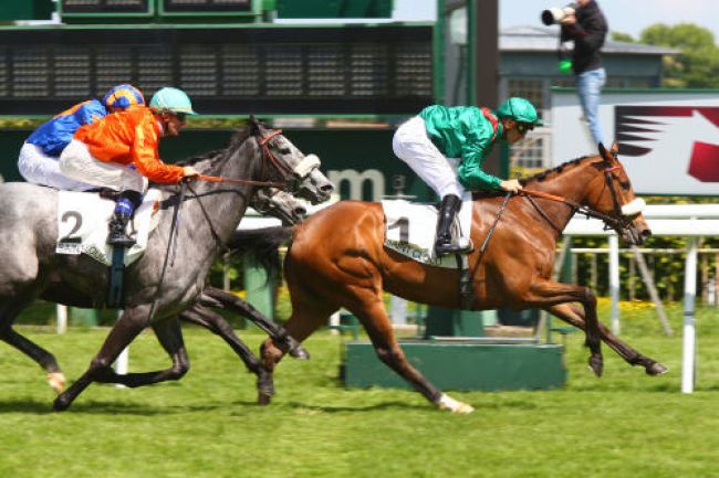 Arrivée quinté pmu PRIX CLEOPATRE à SAINT-CLOUD