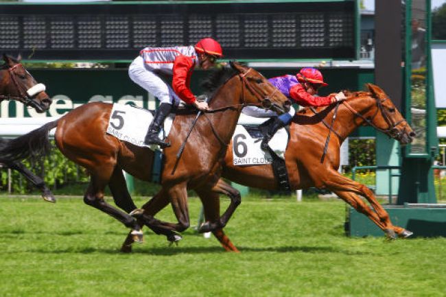 Arrivée quinté pmu PRIX ALBANILLA à SAINT-CLOUD