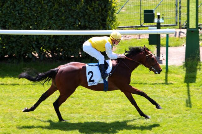 Arrivée quinté pmu PRIX DU MONT DE PO à CHANTILLY