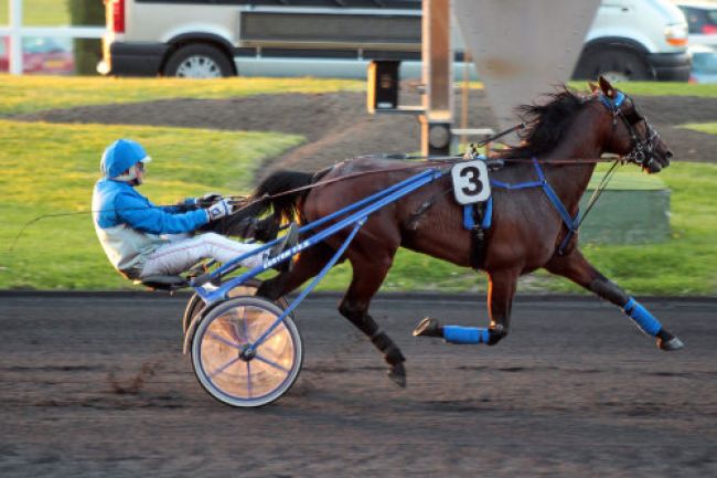 Arrivée quinté pmu PRIX JACQUES DE SAINT-SAUVEUR à PARIS-VINCENNES