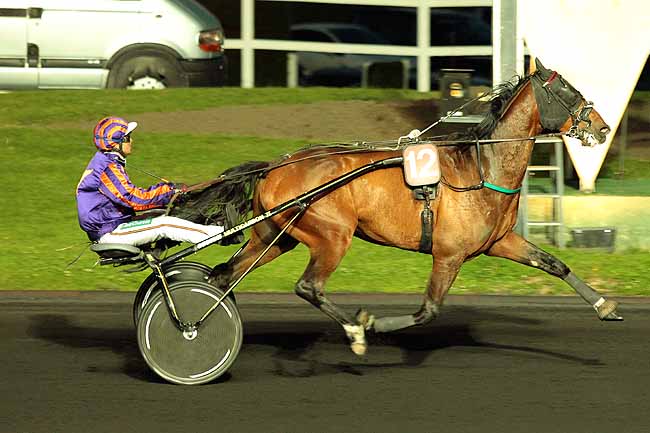 Arrivée quinté pmu PRIX ABUNDANTIA à PARIS-VINCENNES