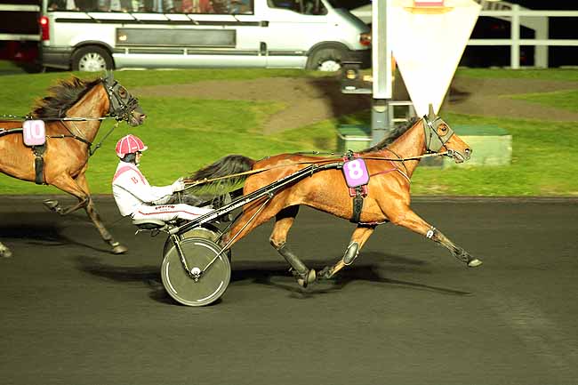 Arrivée quinté pmu PRIX DIANA à PARIS-VINCENNES