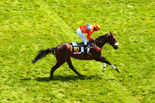 Arrivée quinté pmu PRIX STANLEY PRESENTE PAR L'ASSOCIATION ELA à AUTEUIL