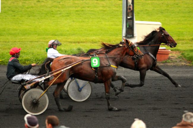 Arrivée quinté pmu PRIX HENRI SION à LE CROISE-LAROCHE