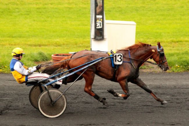 Arrivée quinté pmu PRIX PRESTIGE à LE CROISE-LAROCHE