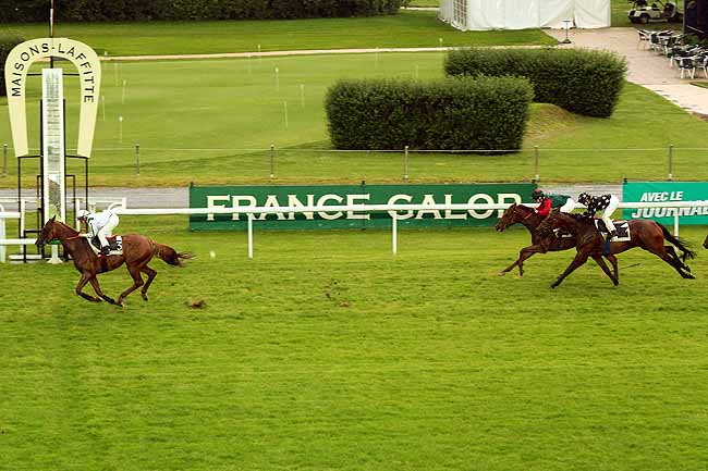 Arrivée quinté pmu PRIX GIRL FRIEND à MAISONS-LAFFITTE