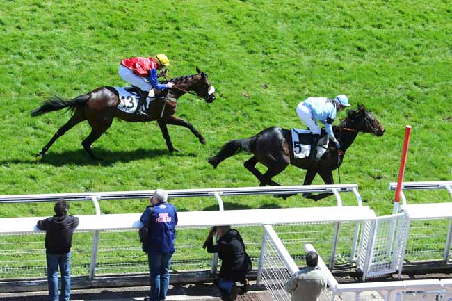 Arrivée quinté pmu PRIX DE LA MUETTE à AUTEUIL