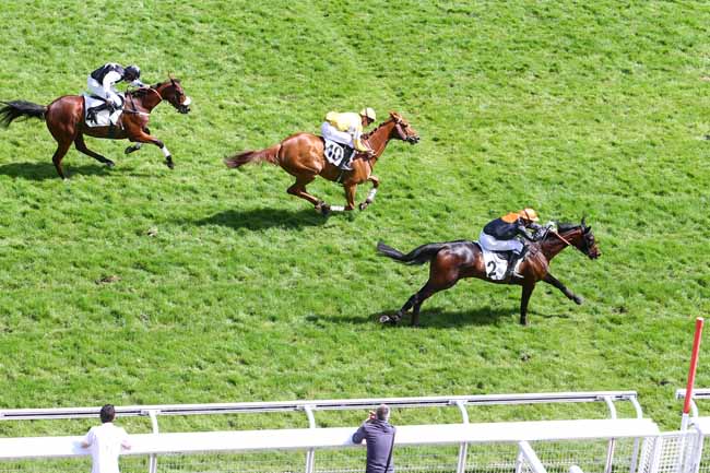 Arrivée quinté pmu PRIX DE NORT-SUR-ERDRE à AUTEUIL