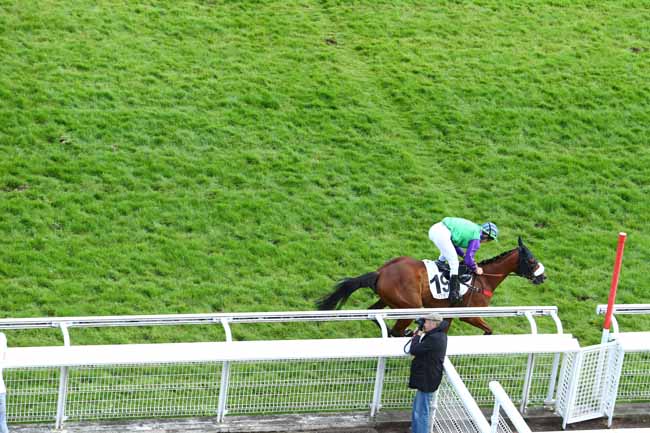 Arrivée quinté pmu PRIX MELINOIR à AUTEUIL