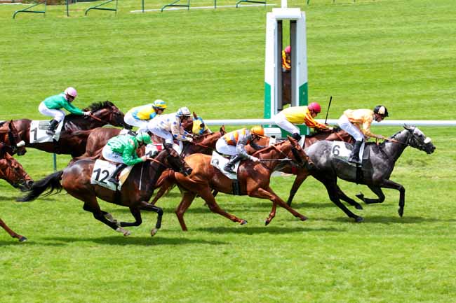 Arrivée quinté pmu PRIX DU HARAS ROYAL DE MEUDON à LONGCHAMP