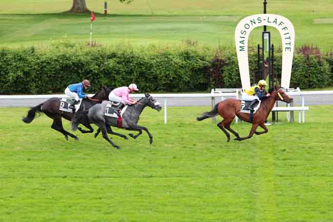 Arrivée quinté pmu PRIX LA BASCOE à MAISONS-LAFFITTE