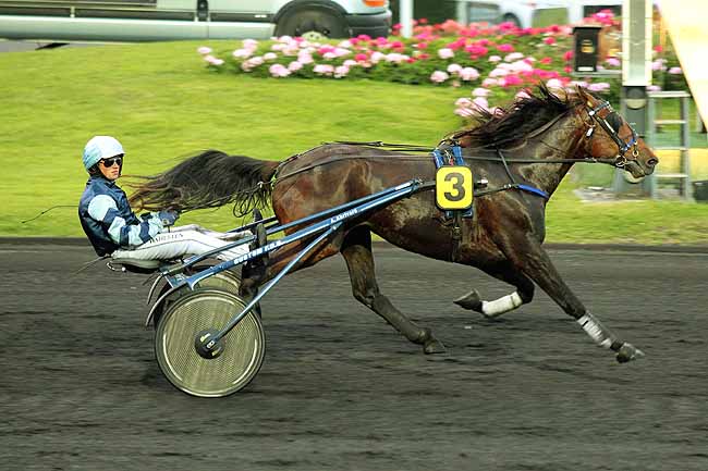 Arrivée quinté pmu PRIX MINERVA à PARIS-VINCENNES