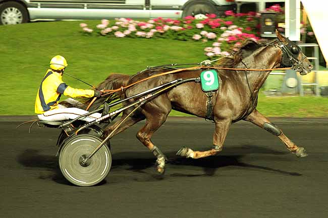 Arrivée quinté pmu PRIX KISSA à PARIS-VINCENNES