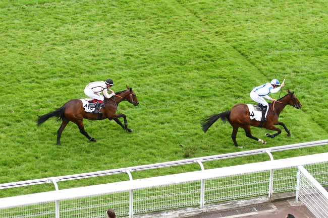 Arrivée quinté pmu PRIX D'IENA à AUTEUIL