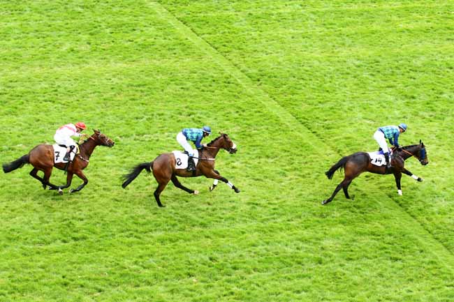 Arrivée quinté pmu PRIX ROCKING CHAIR à AUTEUIL