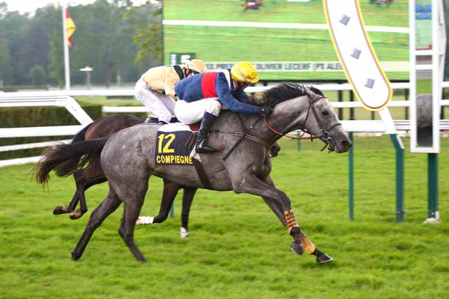 Arrivée quinté pmu PRIX ALEC CARTER à COMPIEGNE