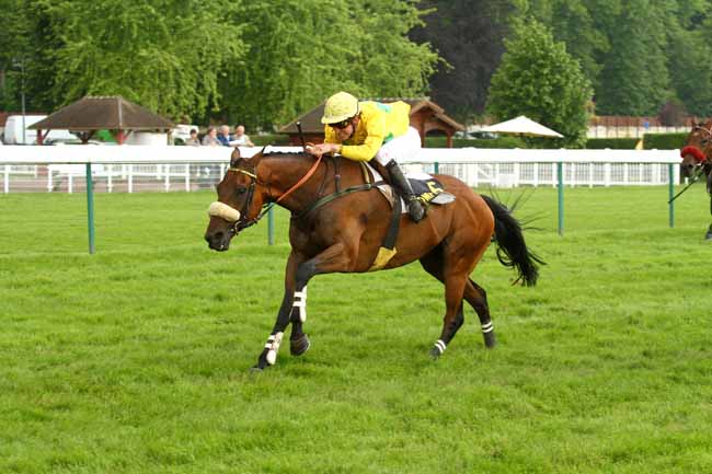 Arrivée quinté pmu PRIX CHAMPAGNE à COMPIEGNE
