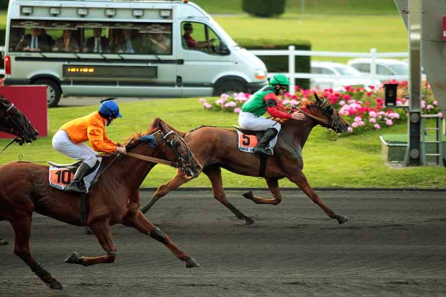 Arrivée quinté pmu PRIX PERSEUS à PARIS-VINCENNES